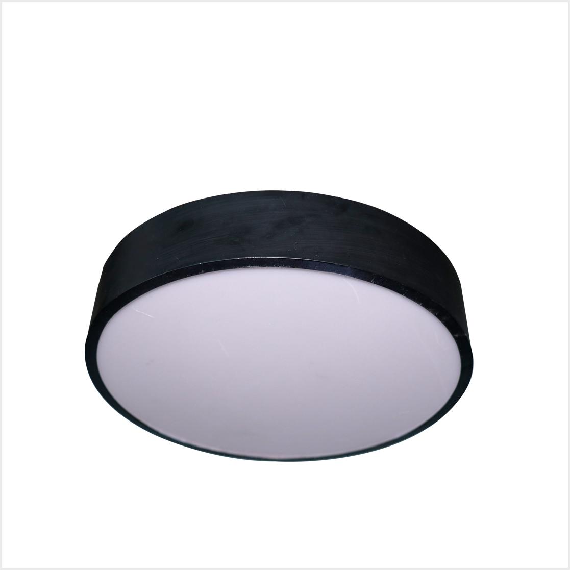 Commercial Light